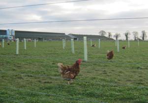 \\KATEGILES-HOME\Users\Public\Documents\GILES MASTER\Norvic Setup\Norvic Projects\York Hall Farm WB\(2) Project File\(2) Analysis\Photos\Digital\Photos\YHF Day  4\IMG_57.JPG